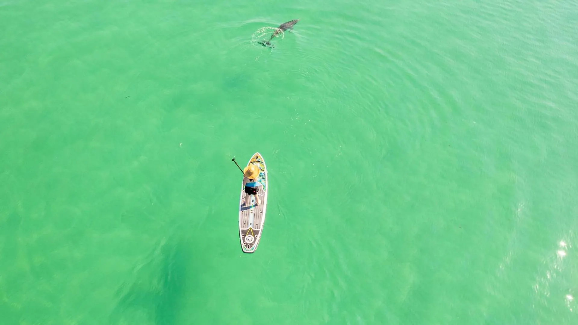 South Bay By The Gulf 055- By Holiday Isle Properties Destin United States