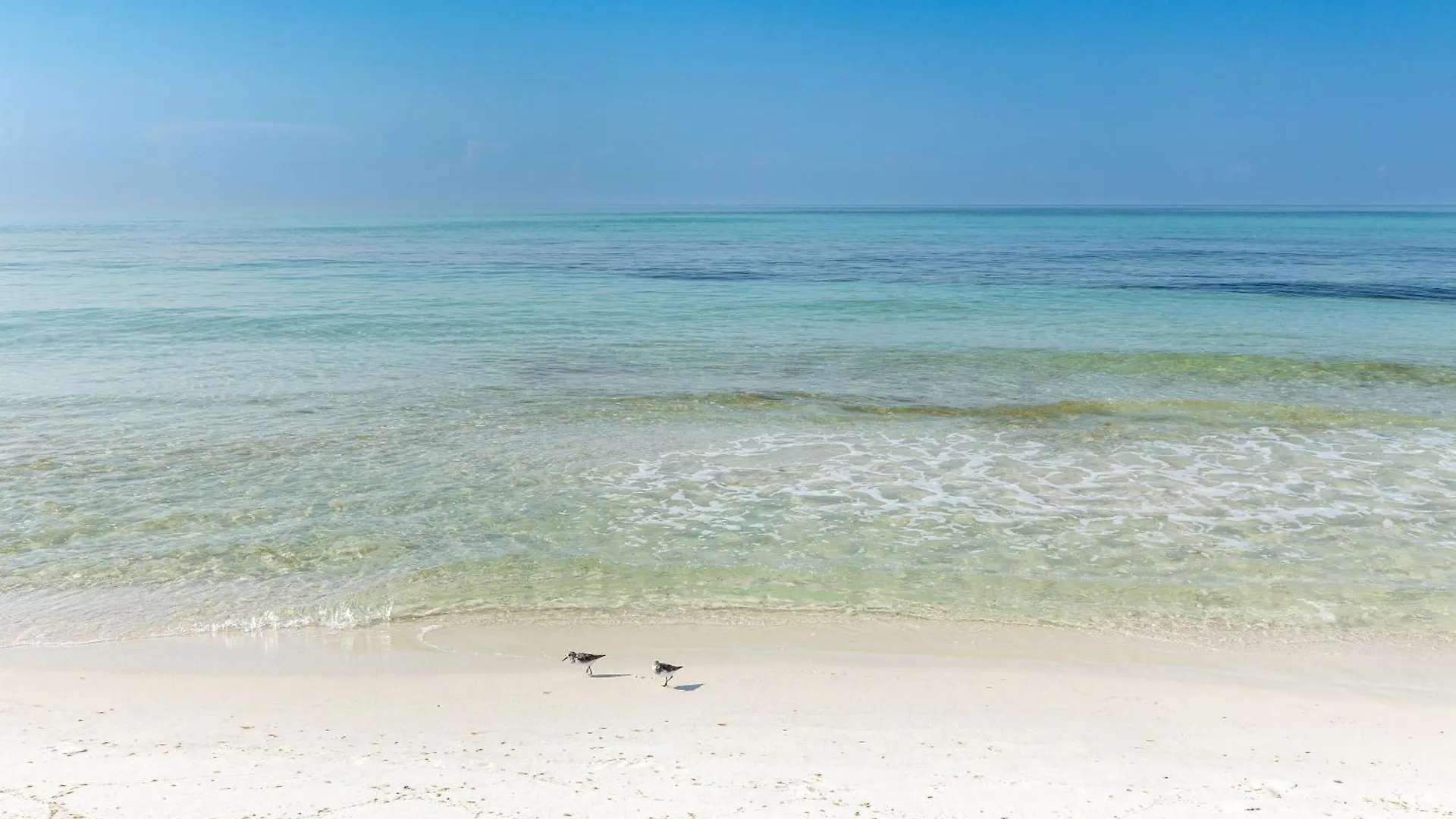 South Bay By The Gulf 055- By Holiday Isle Properties Destin Apartment